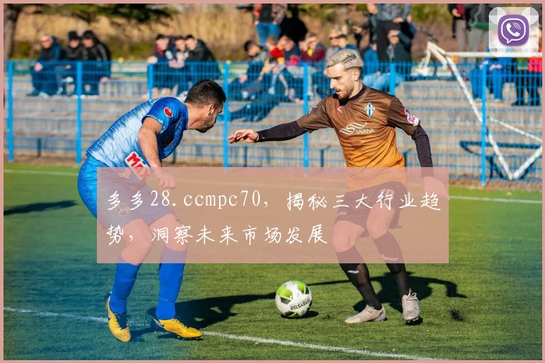 多多28.ccmpc70，揭秘三大行业趋势，洞察未来市场发展